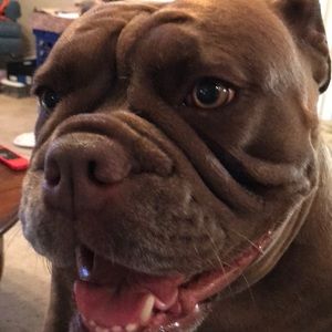 Meet your Posher, Karen